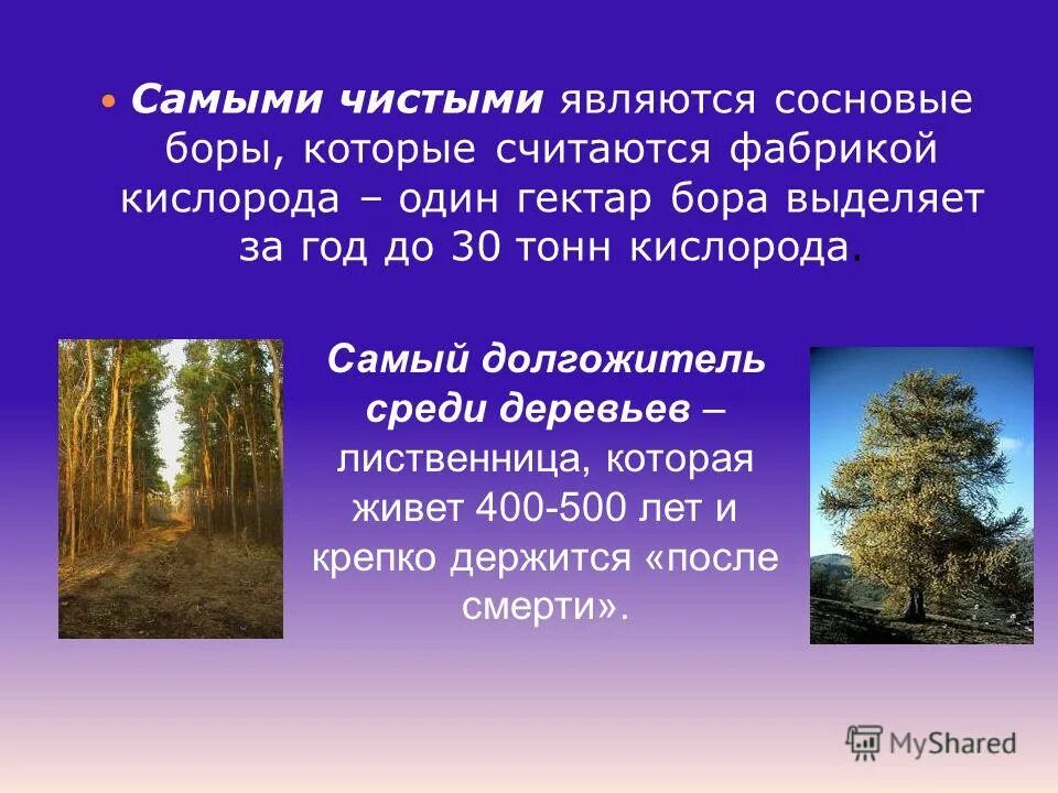 Но с не самой чистой. Но с не самой чистой