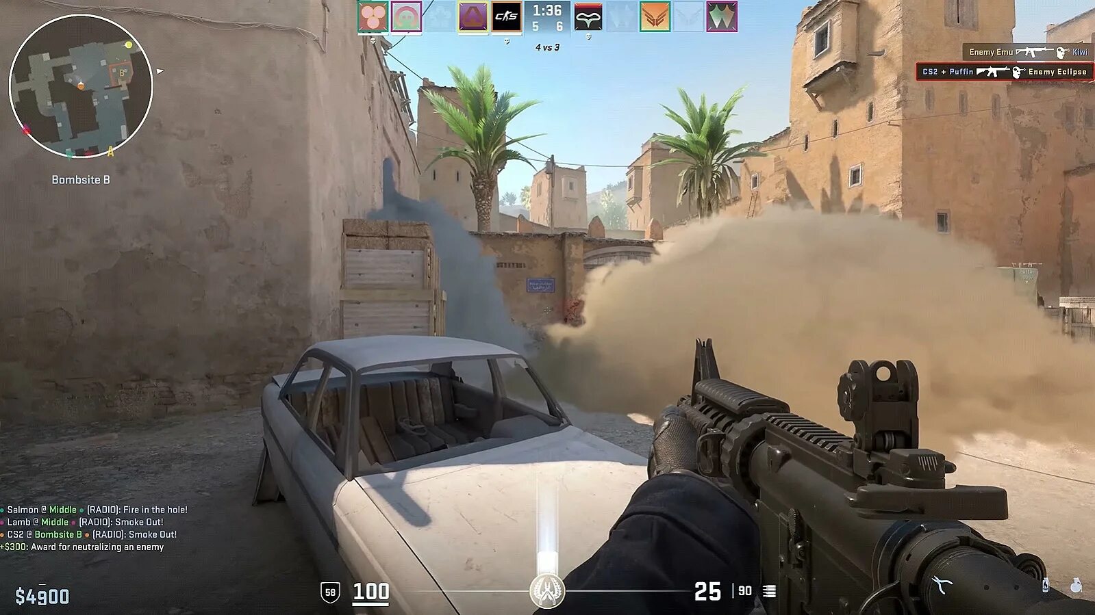 Cs 2 inspect