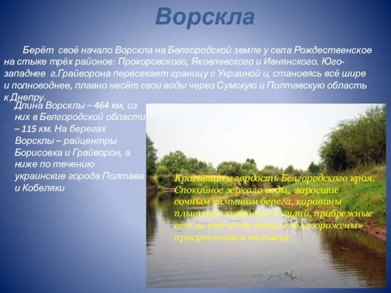 Река Оскол Белгородской области описание. Сообщение об реке Белгородской области. Реки и озера Белгородской области. Водные богатства Белгородской области. Вода в белгородской области