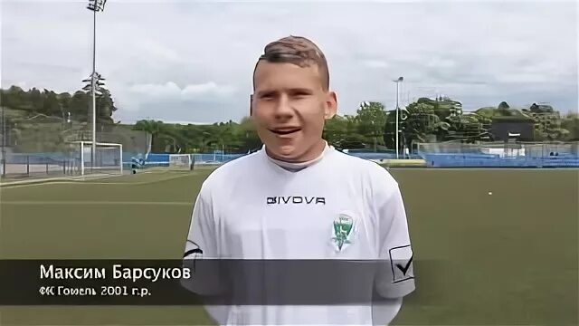 Борсук гомель