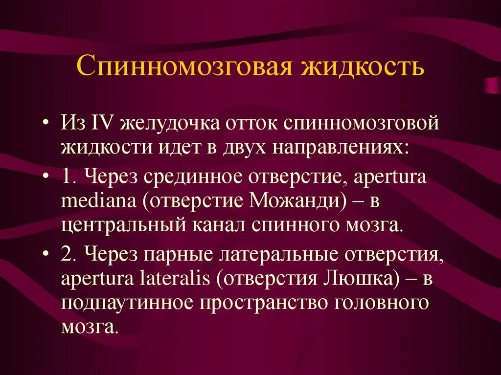 Какое значение имеет спинномозговая жидкость. Какое значение имеет спинномозговая жидкость