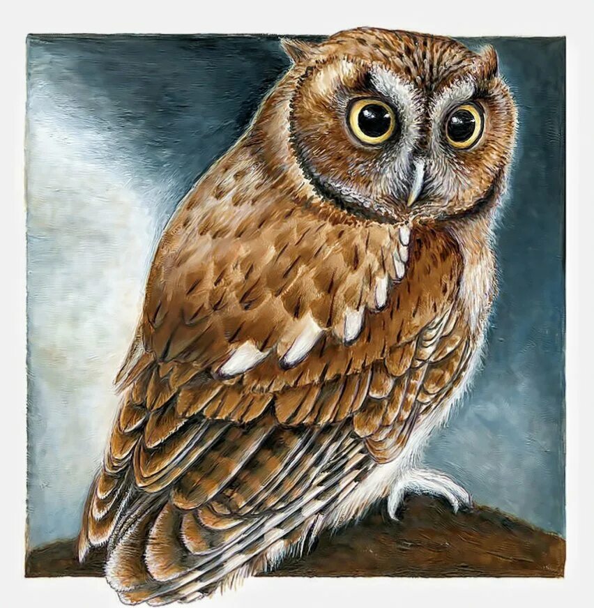 Норные совы. Сонная сова с добрым утром. Филин. Грибоедова 2 уфа. Ночные совы фильм 2015.