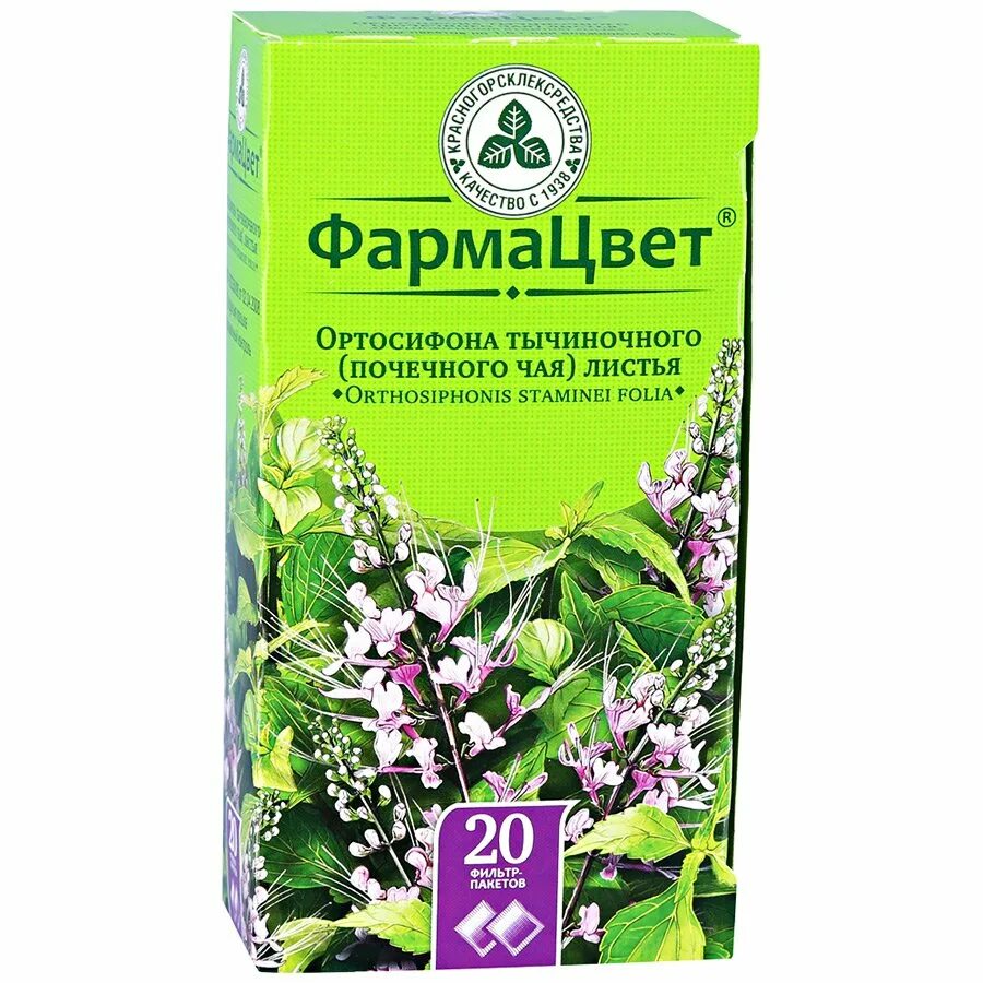 Чай от отеков купить. Почечный чай ортосифон. Ортосифона тычиночного почечного чая. Ортосифона тычиночного почечного чая почечный. Ортосифон тычиночный листья.