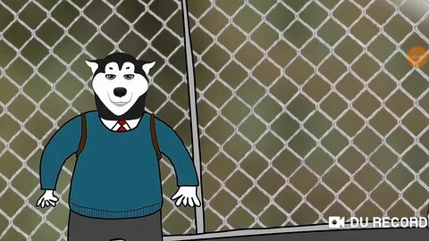 Канал догов