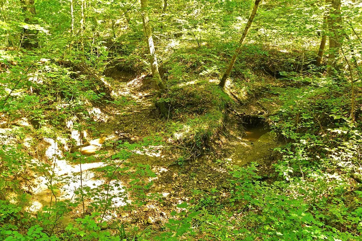 Овражная водная эрозия. Нефтяной овраг сергиевского района. Овраг 10. Овраг 10. Овраг жданкин.