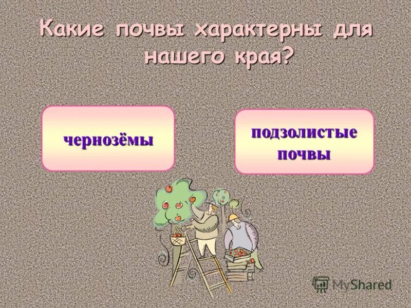 тест по теме почва 4 класс окружающий мир с ответами. тест по почве.
