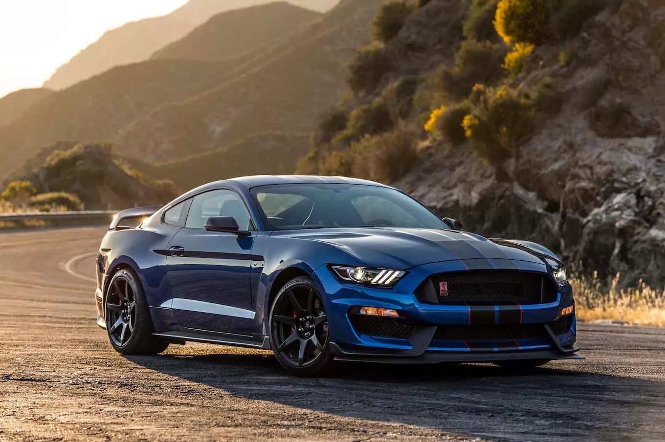 Мустанг джити. Форд Мустанг Shelby gt350. Форд Мустанг gt 350. Форд Мустанг Шелби пе 350. Форд Мустанг ГТ 2017.