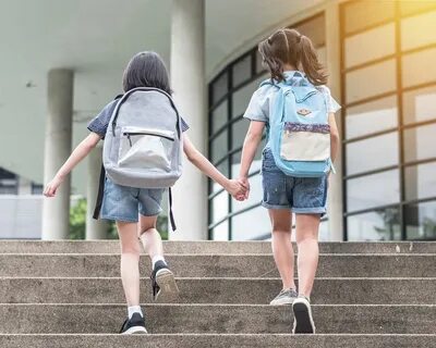 Дети ходят в школу каждый день