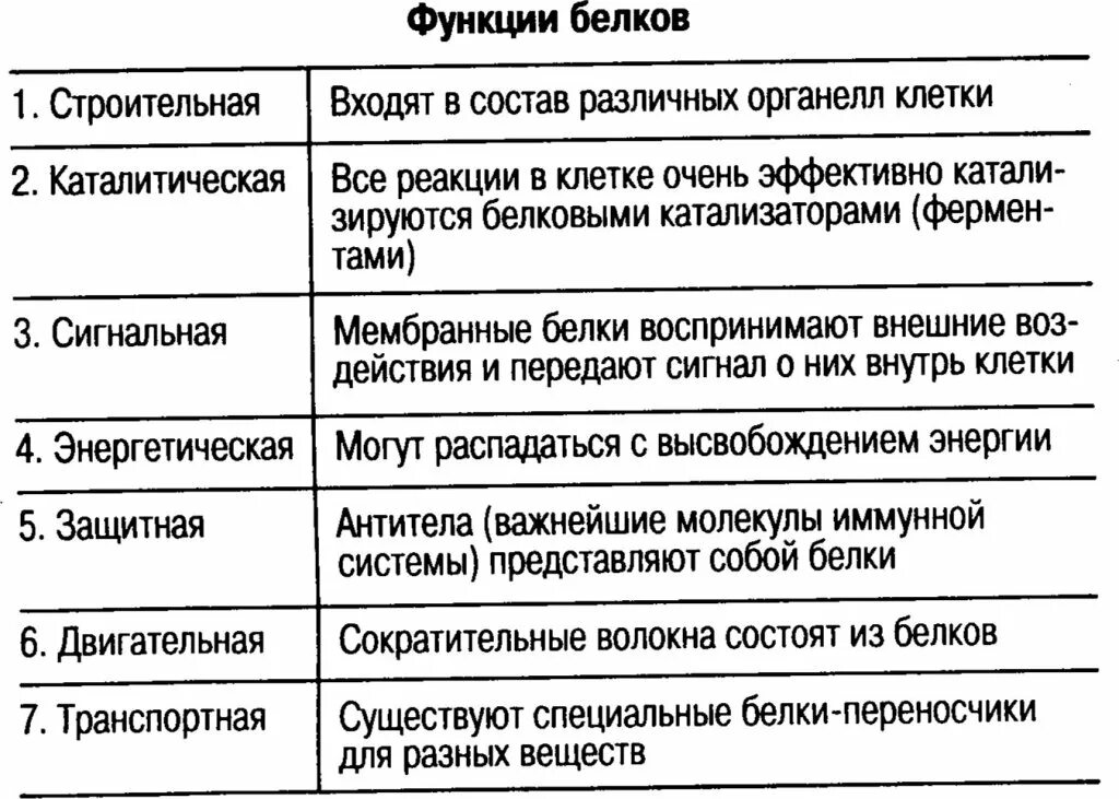 Функции белков таблица 10 класс. Сигнальная функция белков таблица. функции белков. таблица по функциям белков. функции белка таблица.