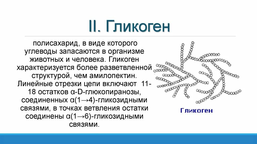 1 гликоген относится к. Гликоген полисахарид. Гликоген у человека. Гликоген функции в организме. Функции гликогена в организме человека.