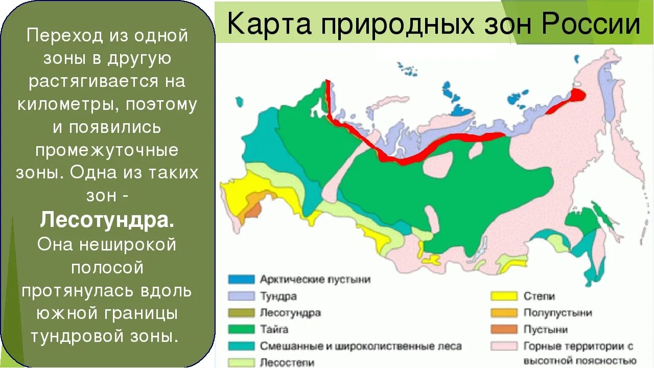 Описать любую природную зону. Карта природных зон России 8кл. Природные зоны России 4 класс окружающий мир природные зоны. Природные зоны России 4 класс окружающий мир 21 век карта. Карта природных зон карта природных зон России.