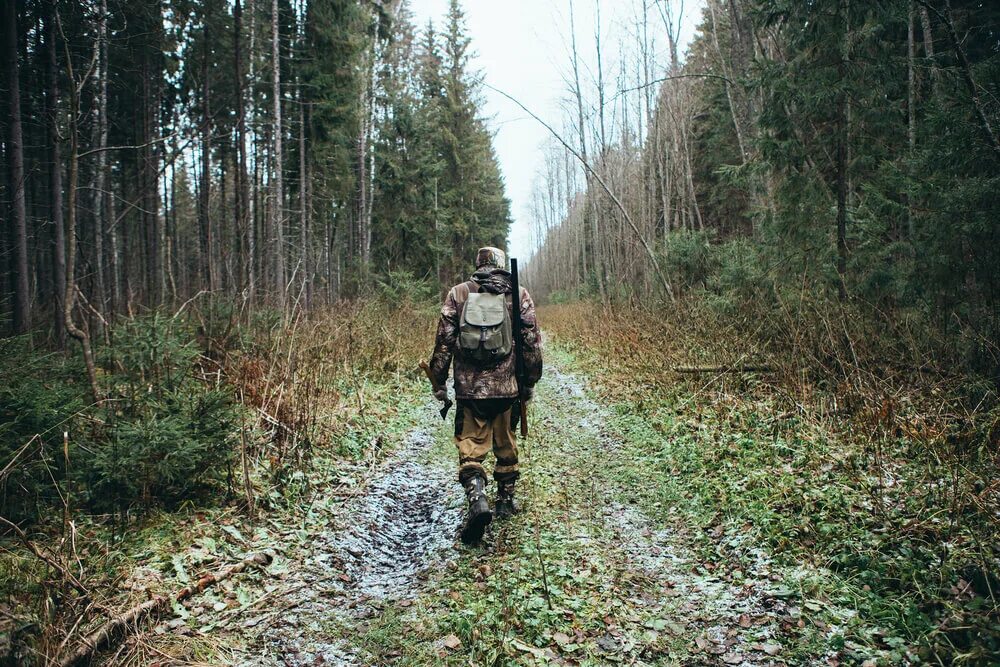 Охотник в лесу. Охотник со спины в лесу. Охотник заблудился в лесу. Человек в камуфляже в лесу.