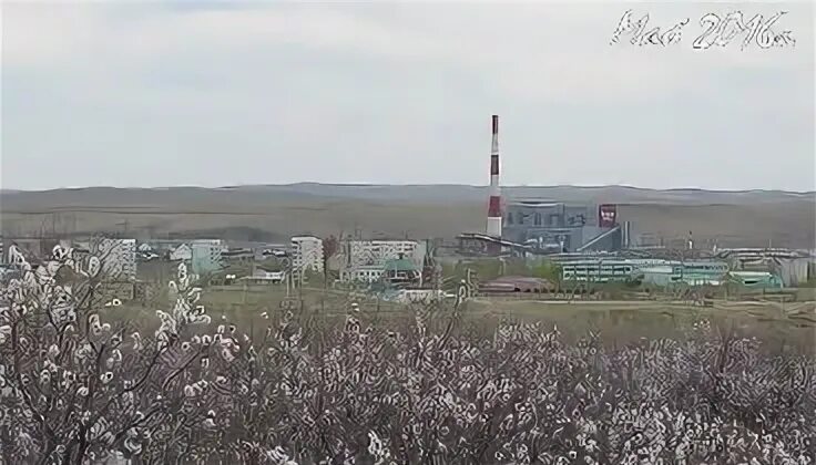Погода ясногорск забайкальский сегодня