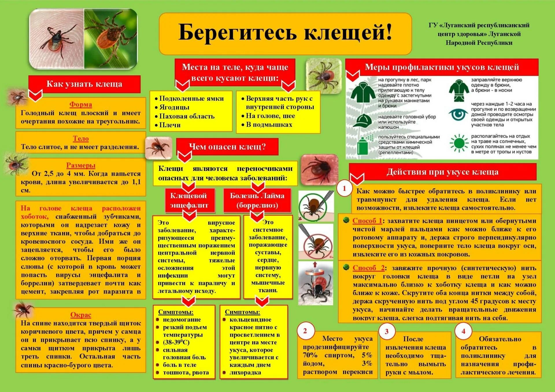 Клещи информация. Берегись клещей памятка для детей. берегись клещей памятка для родителей. клещевой боррелиоз памятка. памятка осторожно клещи памятка для родителей.
