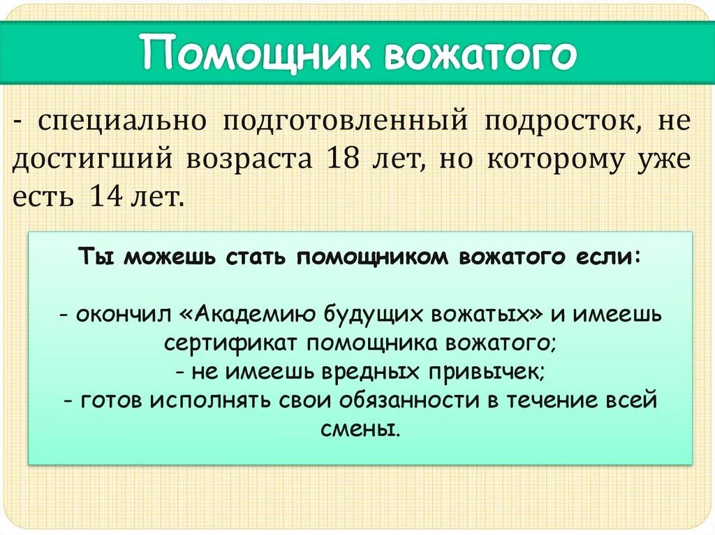 Помощник вожатого 14 лет. Помощник вожатого. Помощник вожатого обязанности. Вожатый и помощник вожатого. Академия будущих вожатых.