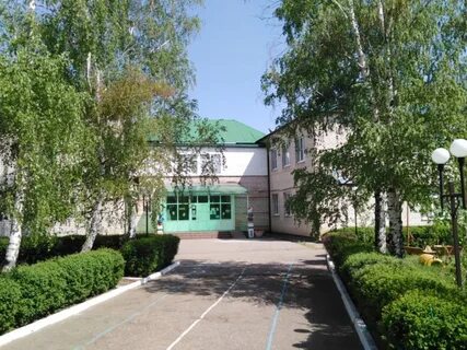 Дс березка