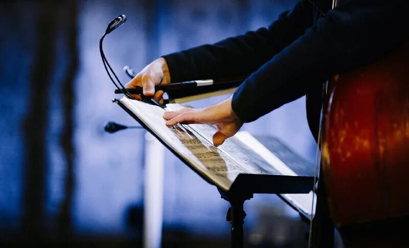 Рояль в современной живописи. Музыкальное искусство. Леонид афремов картина скрипка. Фон для музыканта. Музыкальная тематика.