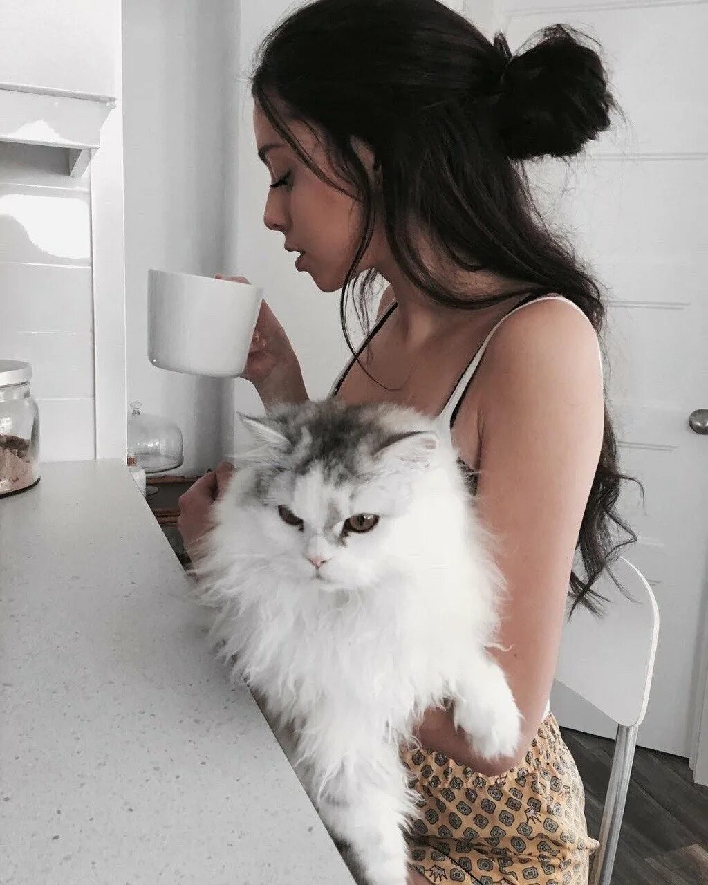 Эстетика котики на аву. Девушка с котом. Красивая девушка с котом. Фотосессия с кошкой. Красивые девушки с животными.
