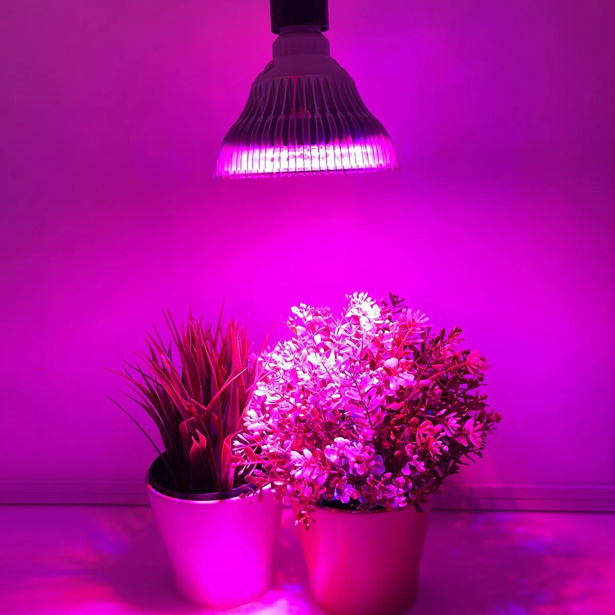 фитолампы светодиодные е27. фитолампы светодиодные е27. Urm светильники для растений. фитолампа 36 ватт е27 мультиспектр. фитолампы светодиодные е27.