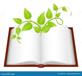 Открытая книга для презентации