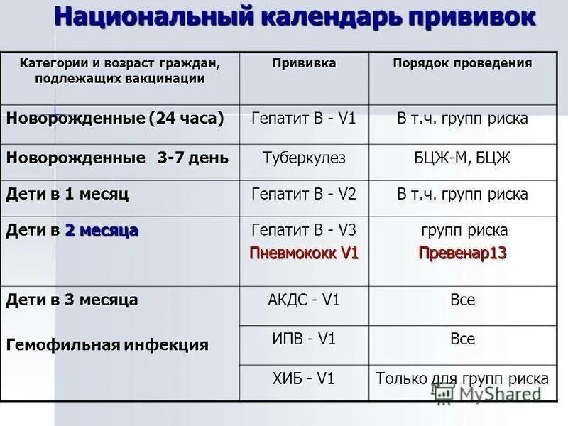 Манту таблица прививок. Сроки ведения противотуберкулезной вакцинации. График прививок БЦЖ. Сроки проведения ревакцинации БЦЖ. Срок проведения прививки БЦЖ.