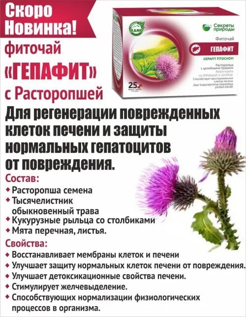 Расторопша семена применение для печени