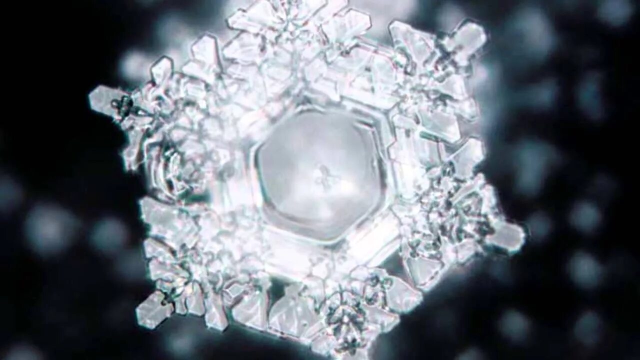 Адольф гитлер кристалл воды. Масару эмото структура воды. Воде сказали спасибо. Кристалл воды ты мне противен. Воде сказали спасибо.