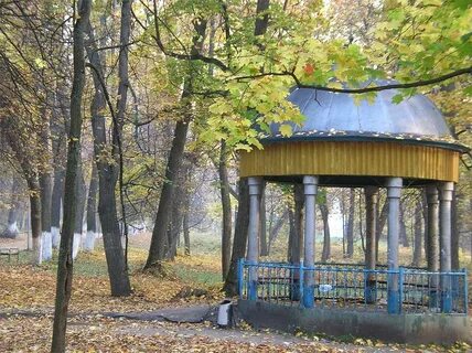 Выкса фото парка
