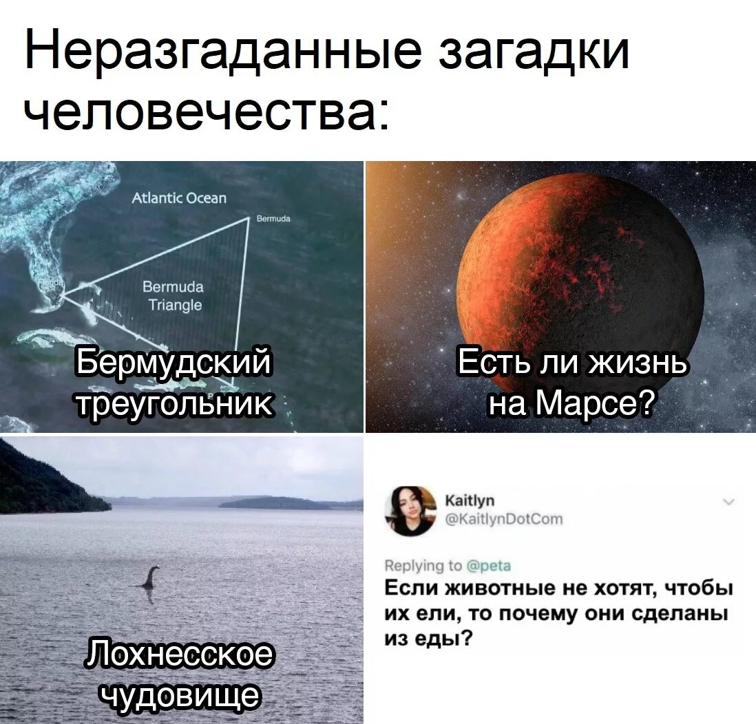 Человек самая большая загадка. Загадки про школу. Человек загадка картинки. Самая большая анаконда в мире. Радуга после дождя.