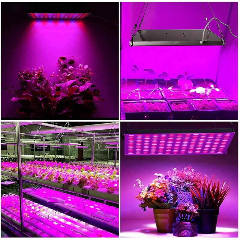 Led grow plant. Фитолампа 440 660 НМ. Фитолампа светодиодная 50вт. Спектр лед лампы для растений. Фитолампа led grow Light.