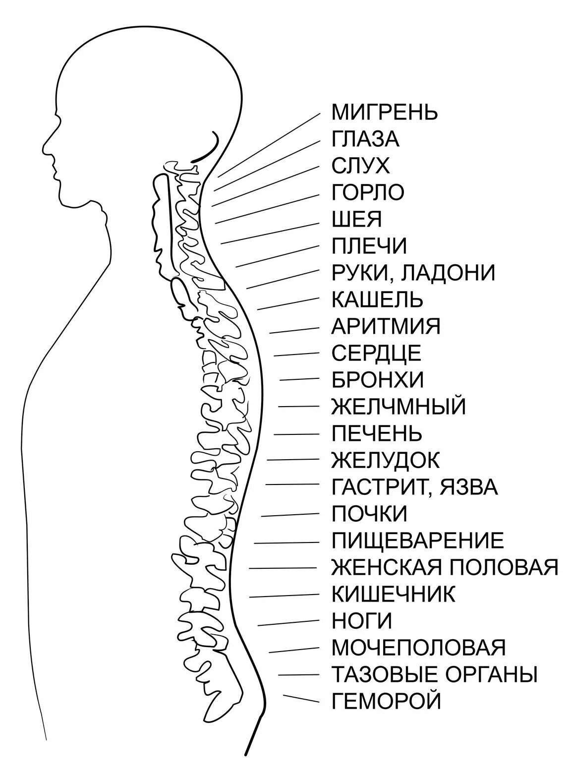 график эмоциональной боли. психосоматика боли. психосоматика болезней таблица грыжа. психосоматика болит шея. болит спина и шея психосоматика.