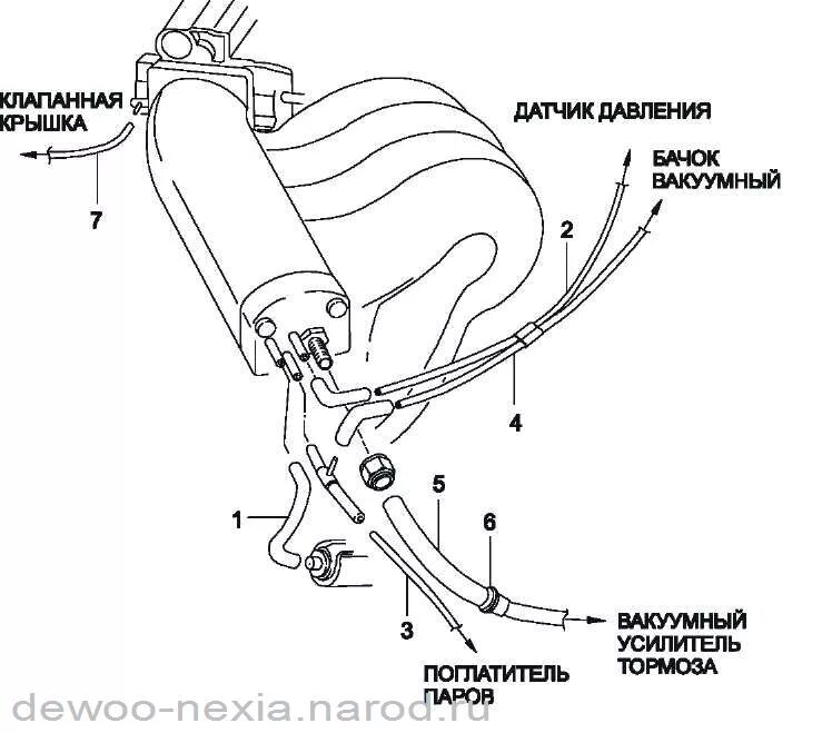 Вакуум труба. Вакуумные трубки нексия 16 клапанов. вакуумные шланги nexia 1.5 dohc. вакуумные трубки дэу нексия 1.5. вакуумные трубки нексия 1.5 16.