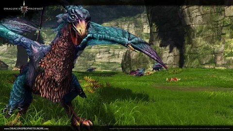 Dragon s keep