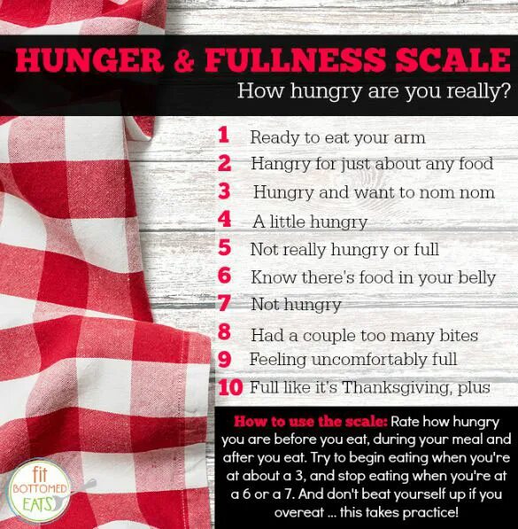 Голод перевод. Hunger Scale. Hungry fulness Scale. Шкала Джаст. Шкала голода в играх.