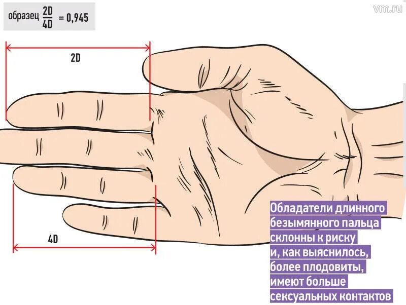 Тест на тестостерон. Тестостерон по пальцам. Тестостерон результаты анализа. Тестостерон безымянный палец. Симптомы низкого тестостерона.