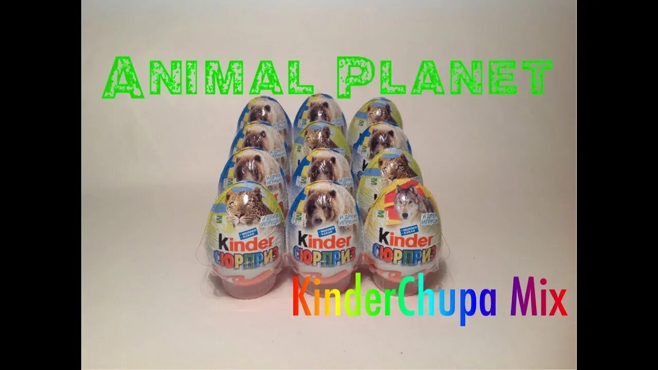 Kinder planet. Animal Planet Киндер сюрприз. Киндер сюрприз Анимал планет. Киндер сюрприз animal Planet 2015. Киндер сюрприз Энимал планет коллекция.