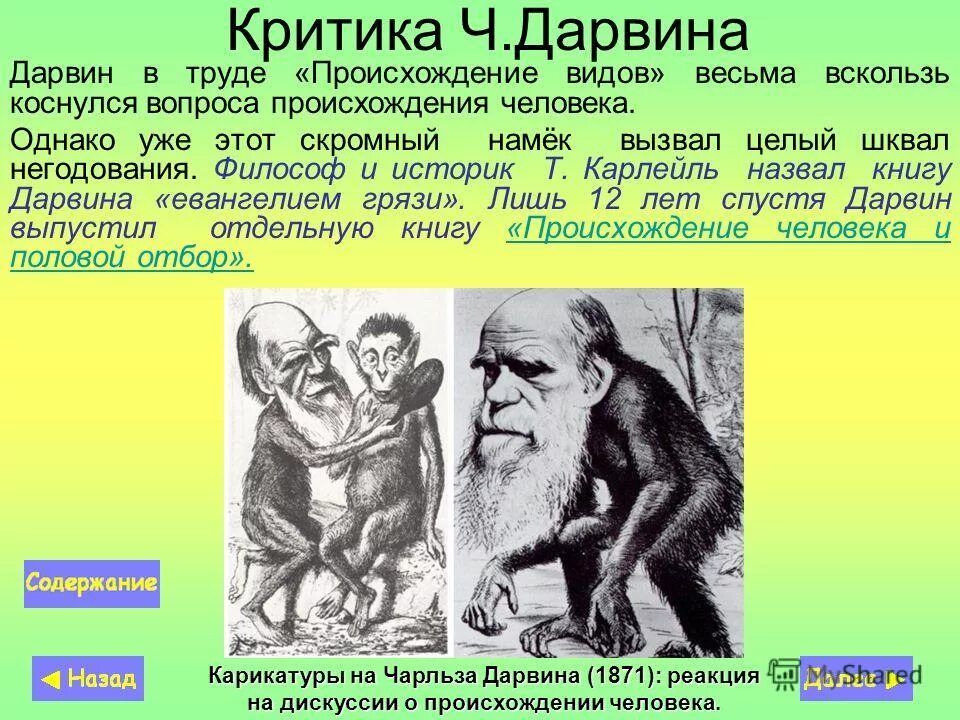 схема антропогенеза. тарзиальная теория происхождения человека. эволюция человека хомо сапиенс. версии происхождения человека. стадии становления человека.