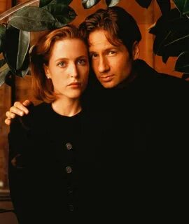 Movies files