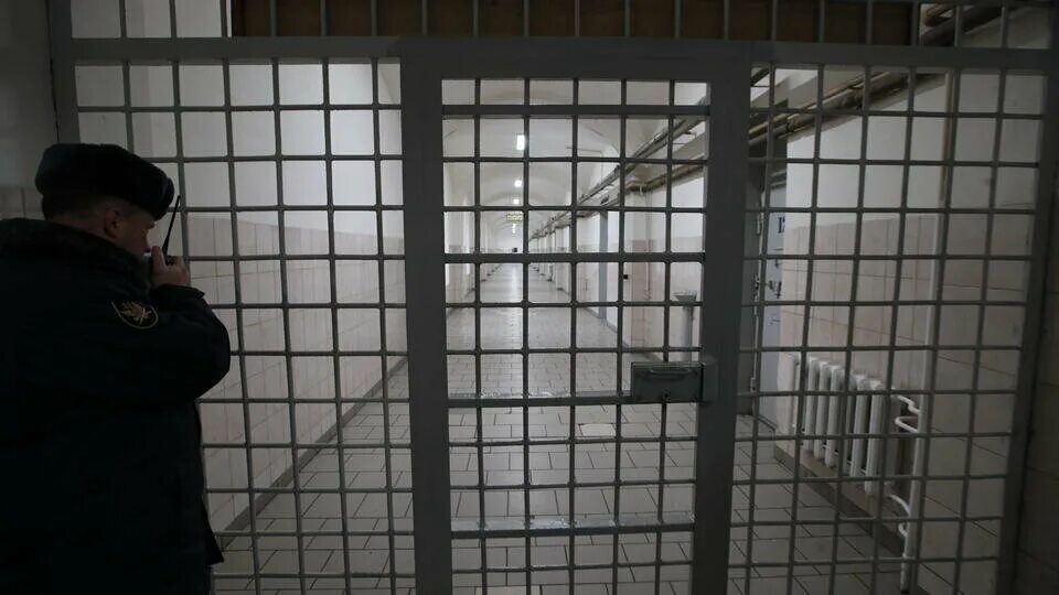 Пожизненно осужденный. Места лишения свободы. Трудоустройство лиц освободившихся из мест лишения свободы. Лишение свободы на сутки. 15 суток ареста.