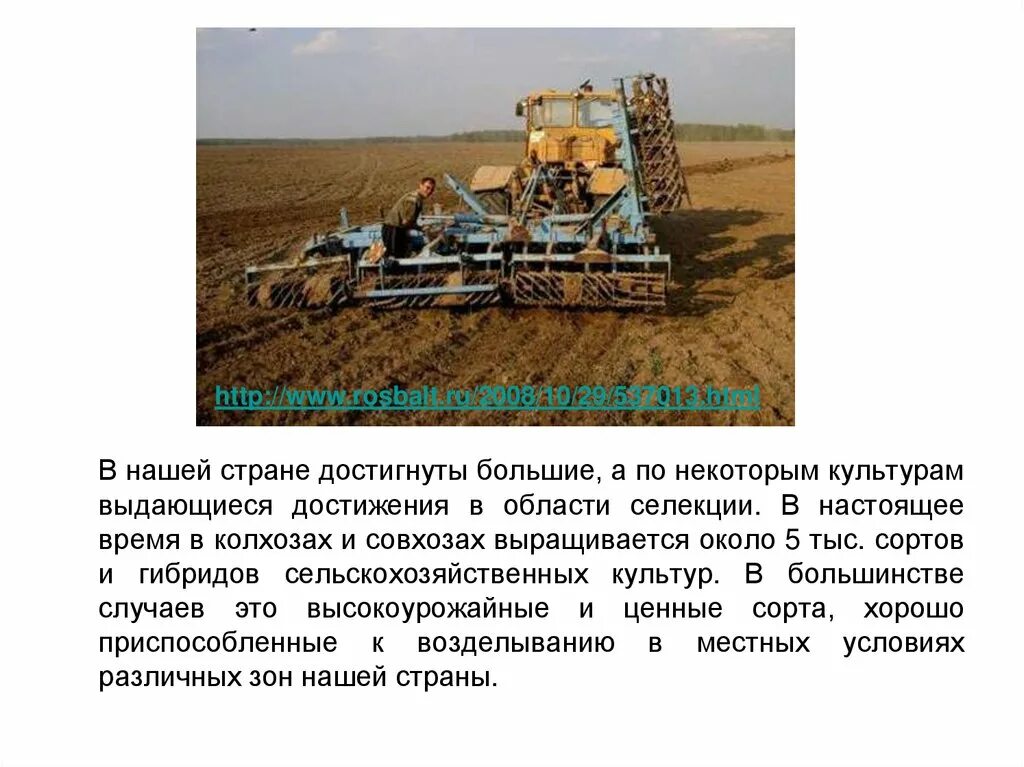 Сообщение о достижениях селекции. Достижения советской селекции. достижения современной селекции. основные достижения селекции в нашей стране. достижения селекции в сельском хозяйстве.