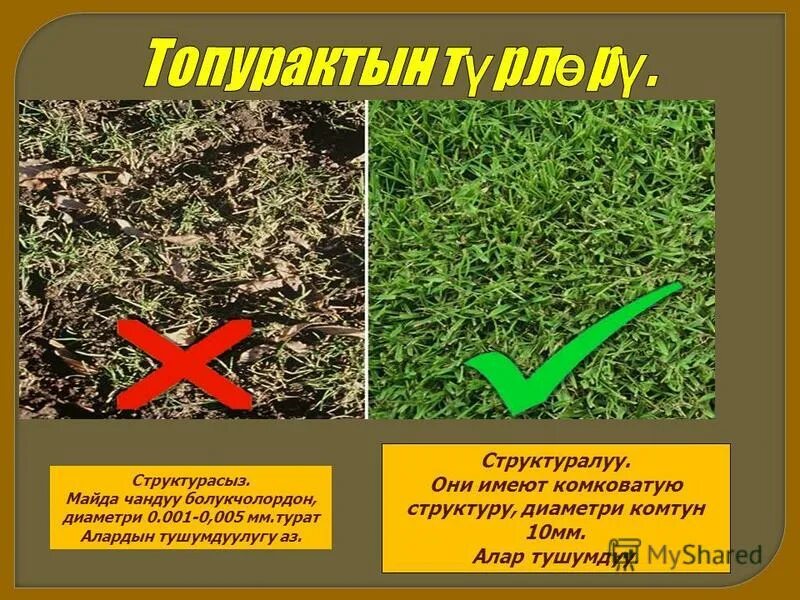Пылеватая почва. Зернистая структура почвы. Суглинок легкий пылеватый. Связные грунты и несвязные грунты. Типа строительного песка.