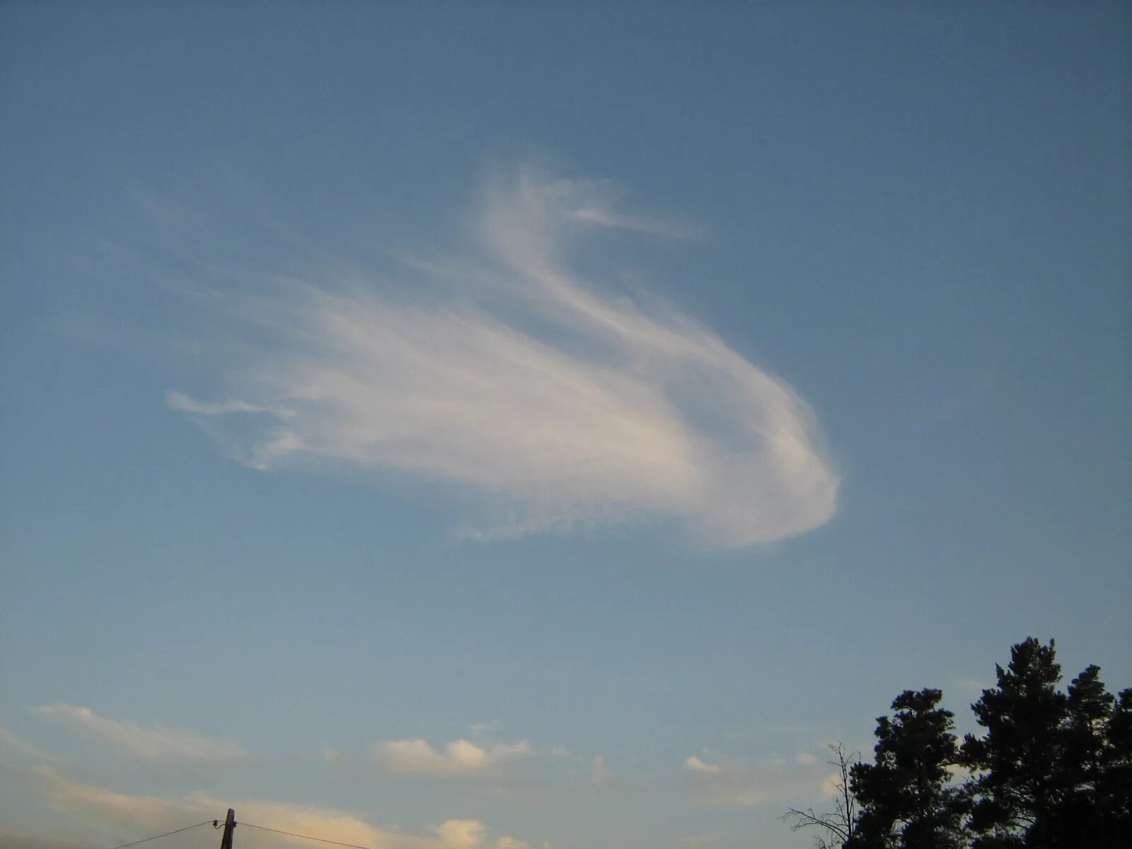 Обитатель облаков. Облако в форме птицы. Облака причудливой формы. На что похожи облака. Необычные облака.