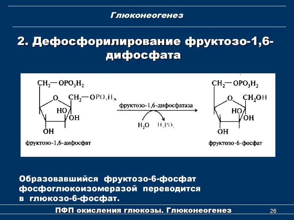 Фруктозо 1 6 фосфат в глюкозо 6 фосфат. Фруктоза 1 6 дифосфат в фруктозо 6 фосфат. Образование фруктозо 6 фосфата. Фруктозо-6-фосфат фруктозо-1.6-дифосфат.