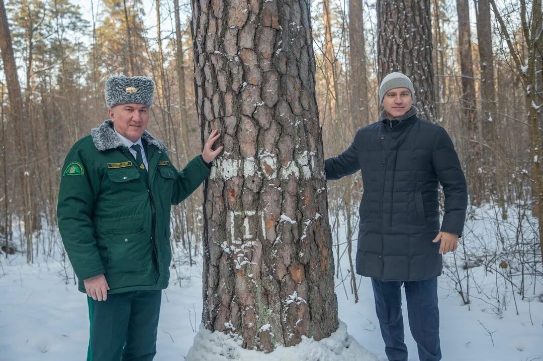 Новости брянск и брянской области свежие. Управление лесами Брянской области. Вручение лесопатрульной техники лесничествам Свердловской области. Лесники Свердловской области получили лесопатрульные автомобили.