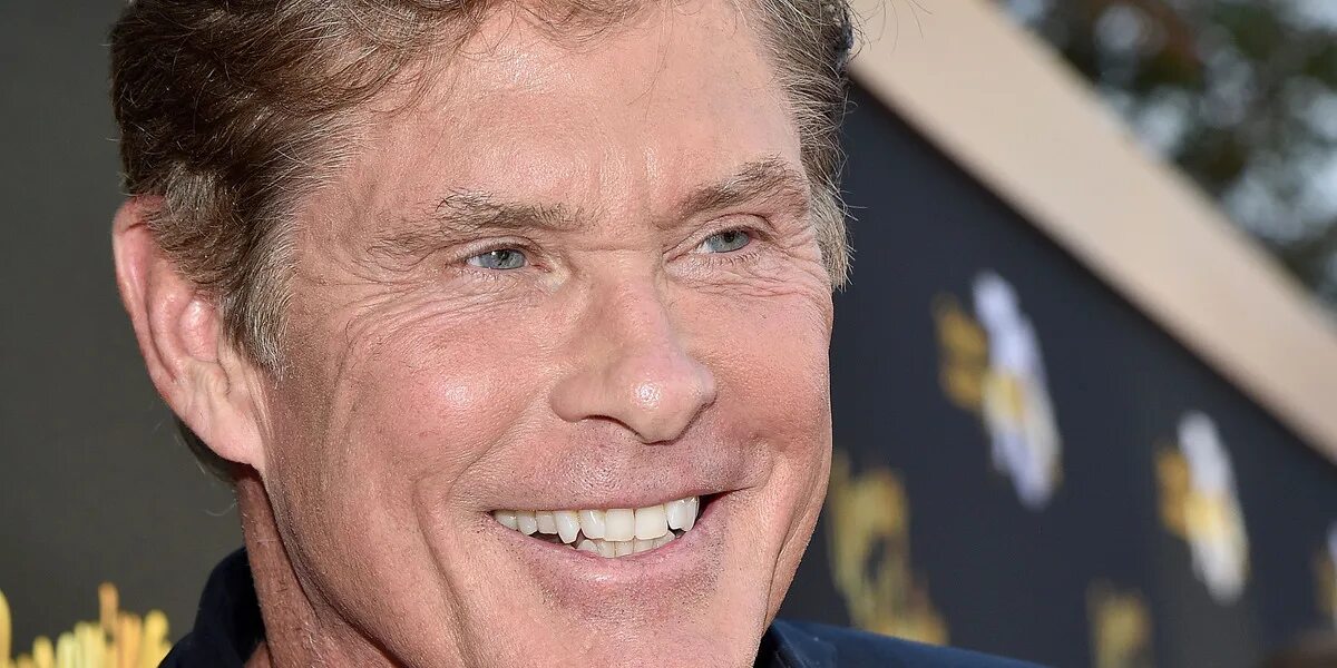 Дэвид хассельхофф 2021. Pop david hasselhoff. Дэвид хассельхофф сыны анархии. David hasselhoff. David hasselhoff.