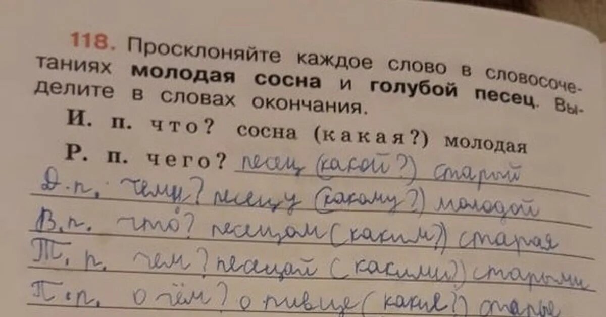 Выделить окончание в слове сосна. Просклонять слова сосна молодая. Просклонять слово в словосочетании молодая сосна. Просклонять словосочетание молодая сосна. Просклоняйте каждое слово в словосочетаниях молодая сосна и голубой.