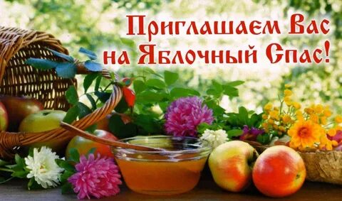 Программа спас на сегодня 2024 года