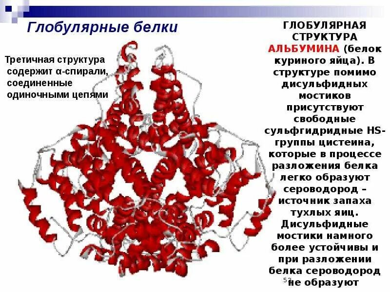 Форма глобулы белка. Глобулярные белки структура. Структура глобулярных белков. Глобула это структура белка. Глобулярная структура белка.