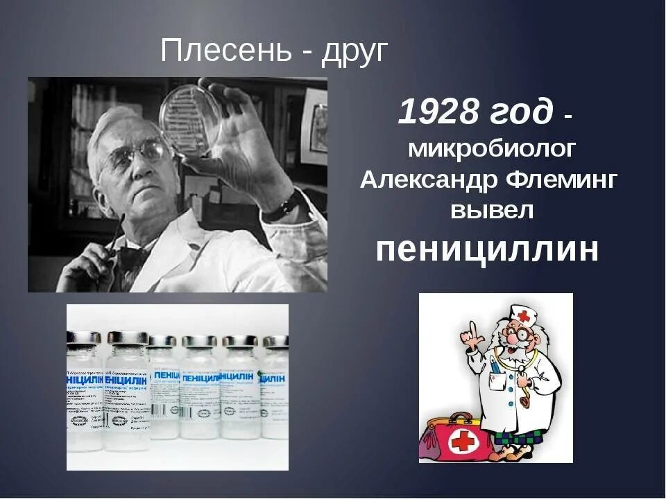 1928 Открытие пенициллина. В 1928 году английский микробиолог Александер Флеминг. 1928 пенициллин