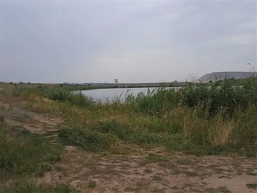 Дарьевка пензенская область. Дарьевка курская область. Дарьевка луганская область. Дарьевка курская область. Дарьевка курская область.